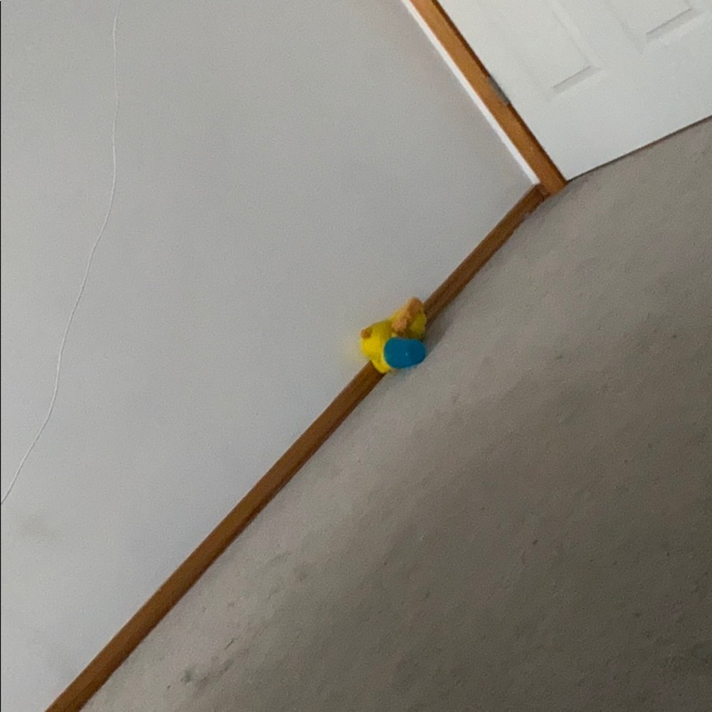 Meet your Posher, Mansi